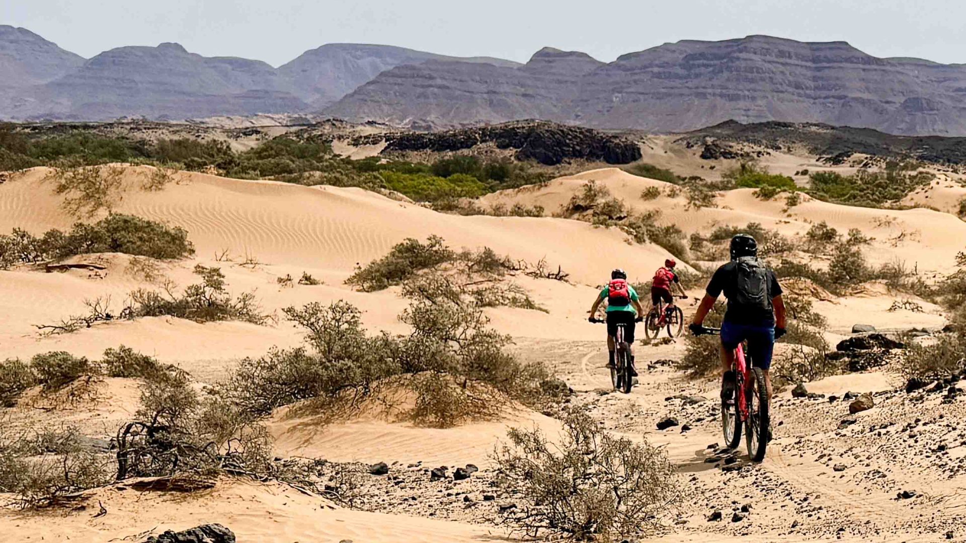 People ride a combination of electric and regular mountain bikes through sandy hills marked by shrubs.