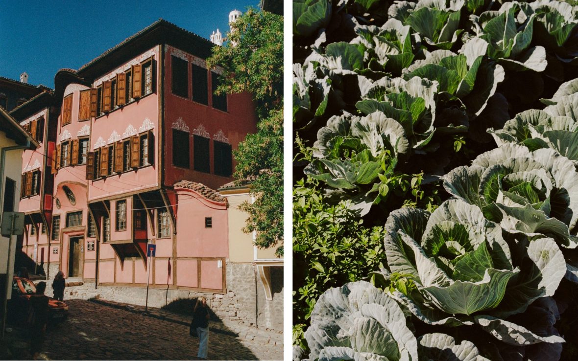 Left: Colourful pink building in old Plovdiv; Right: Cabbages grown in farming town Kurtovo Konare.