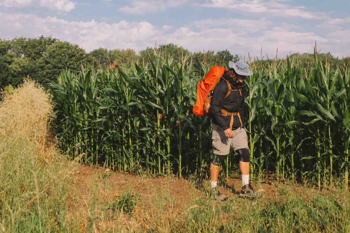 A man wearing a pack on his back walks past rows of crops.