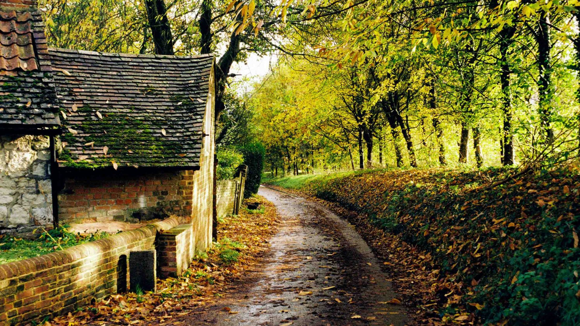 A small house along a path winding through trees.