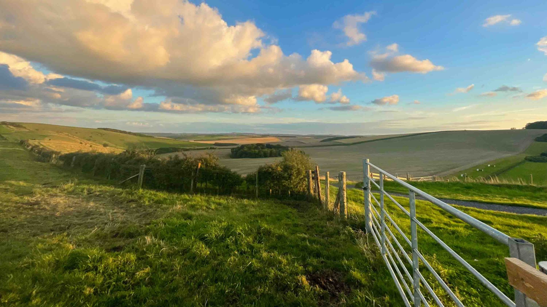 Fences between fields amid sprawling fields