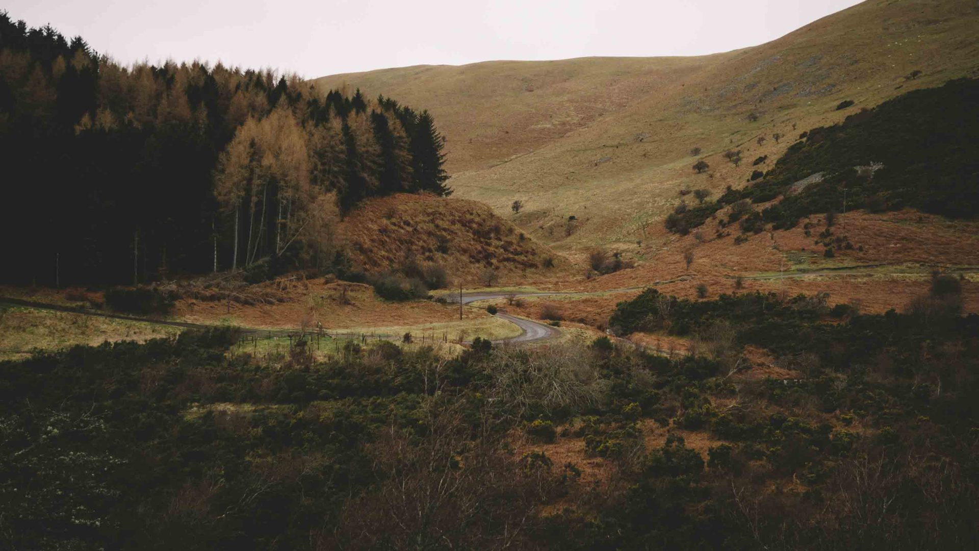 Hills and trees in muted shades of green and orange.