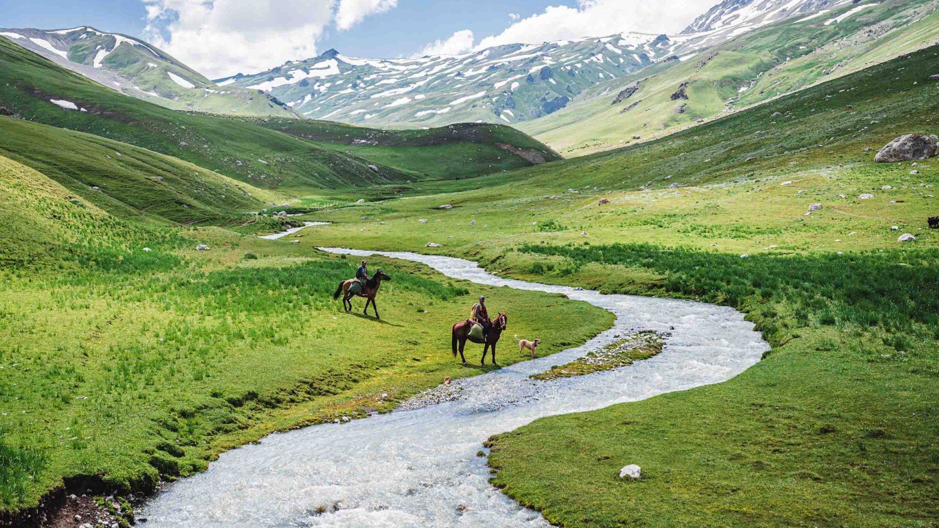 Horses by a river in a green valley.