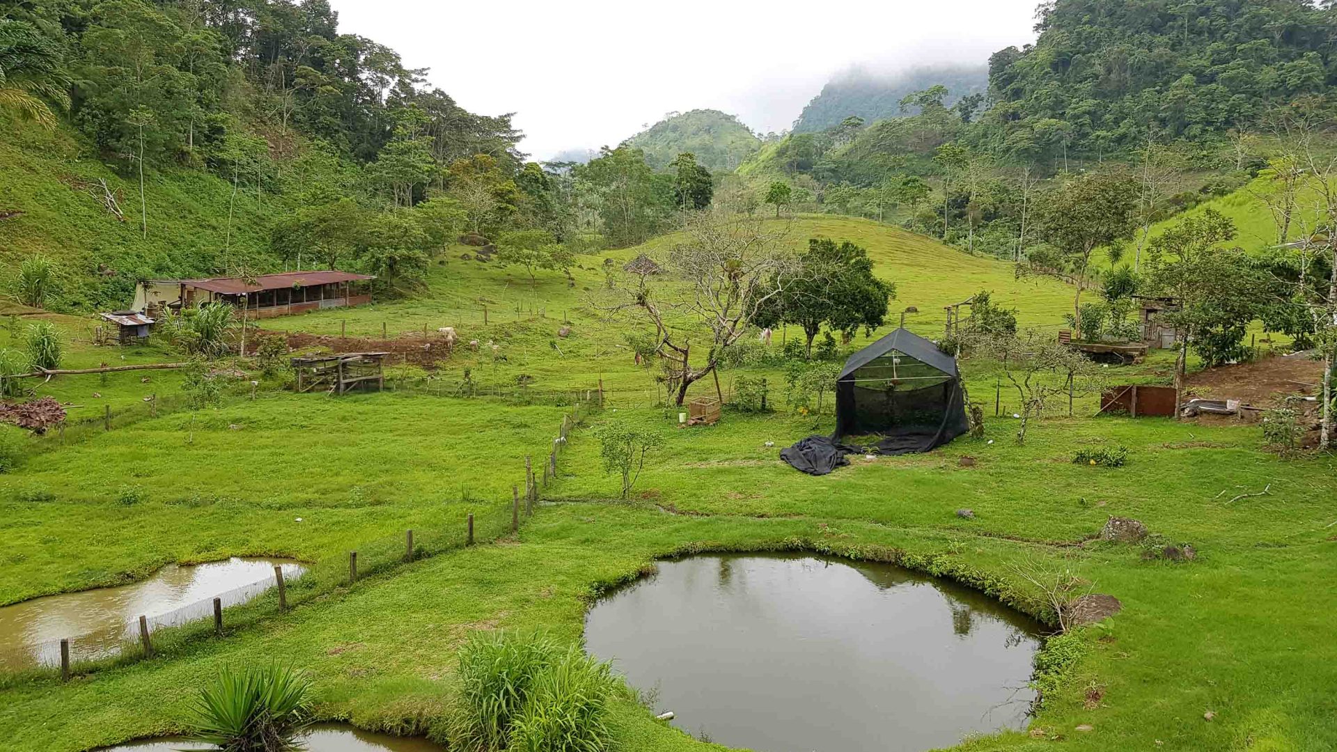 Green fields, small huts and a couple of ponds.