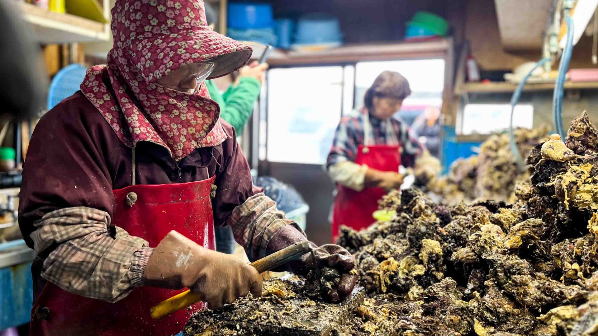 Two women shuck a pile of oysters.