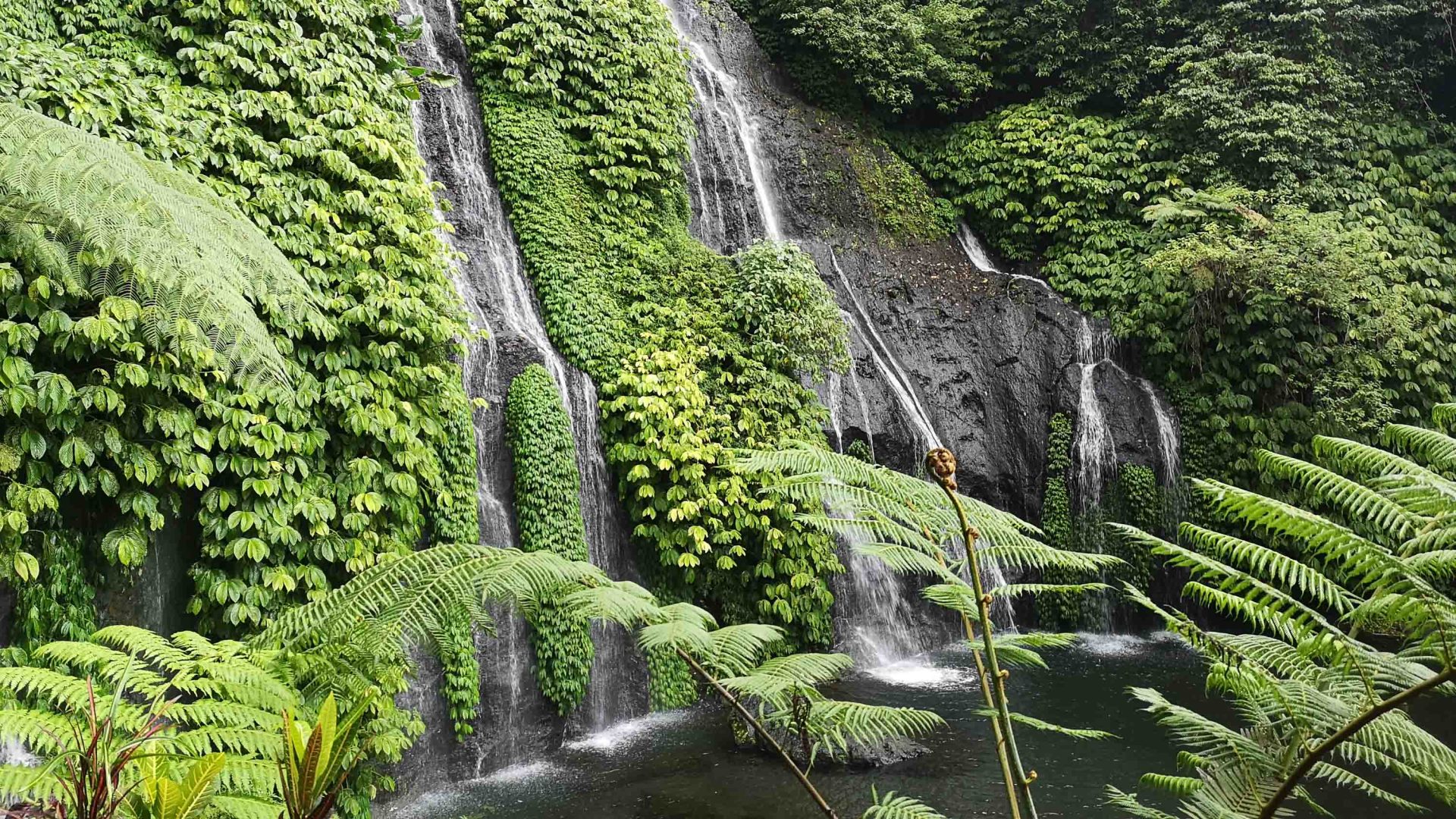 A waterfall drops into a pool of water.