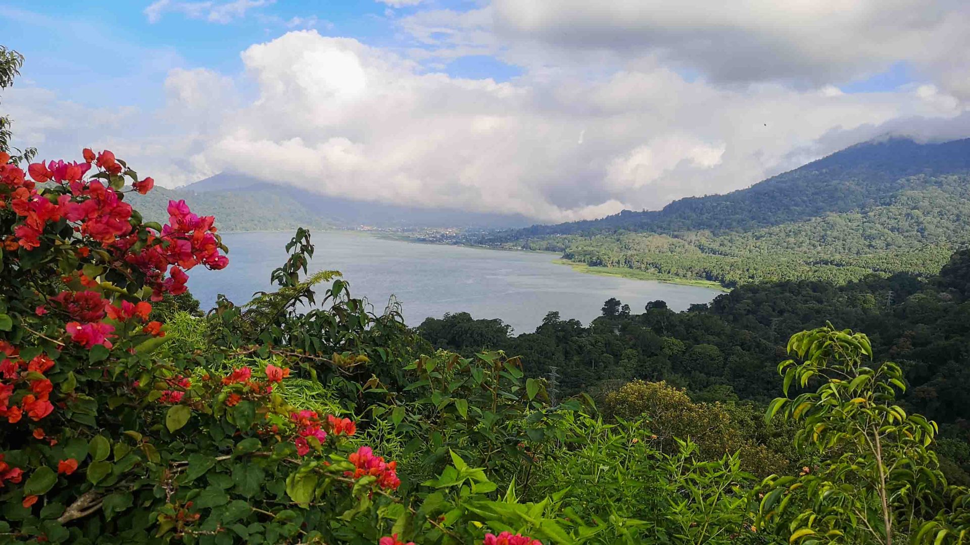 Views of green plants, red flowers and a lake.