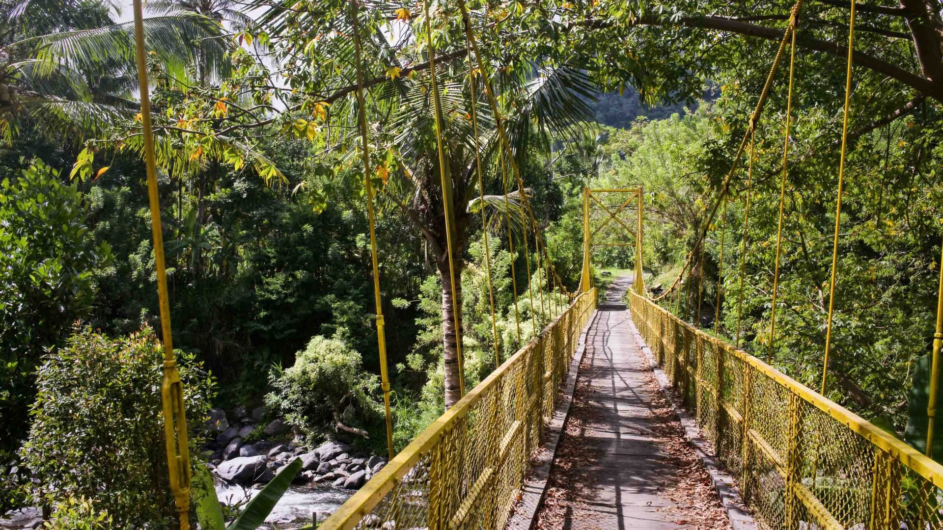 A yellow bridge passes through trees.