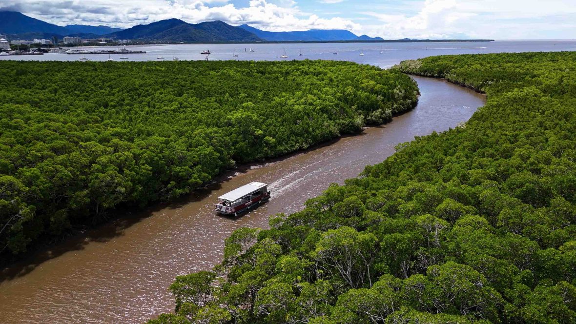 A boat passes through a brown river with forest on both sides.