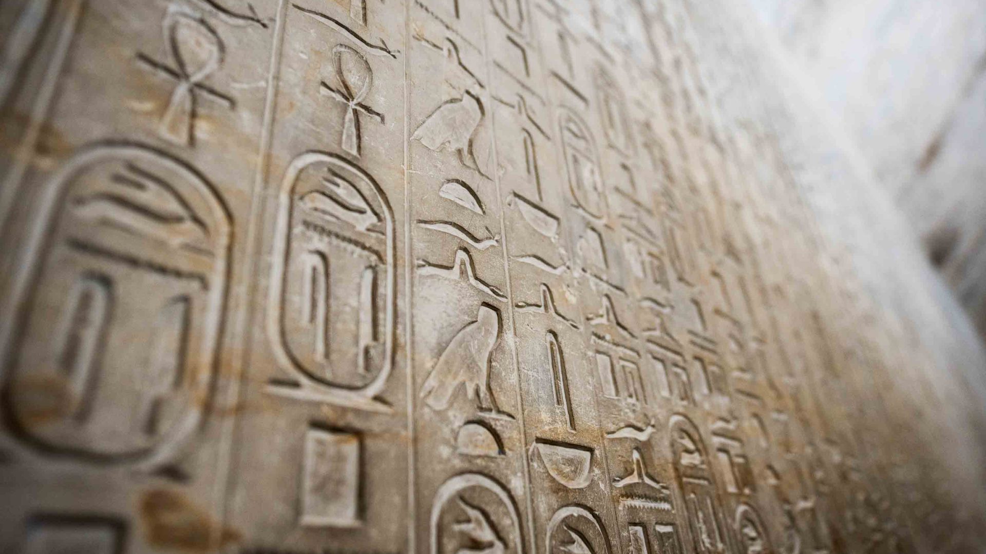 A wall covered in hieroglyphics.