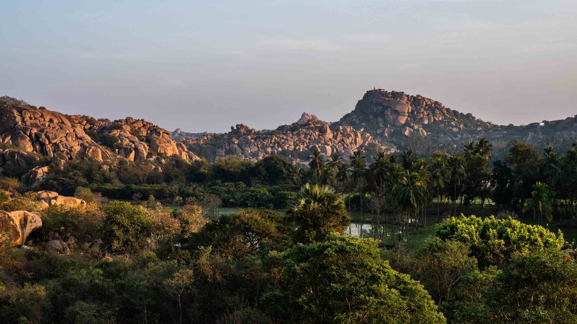 Views of trees and rocks.