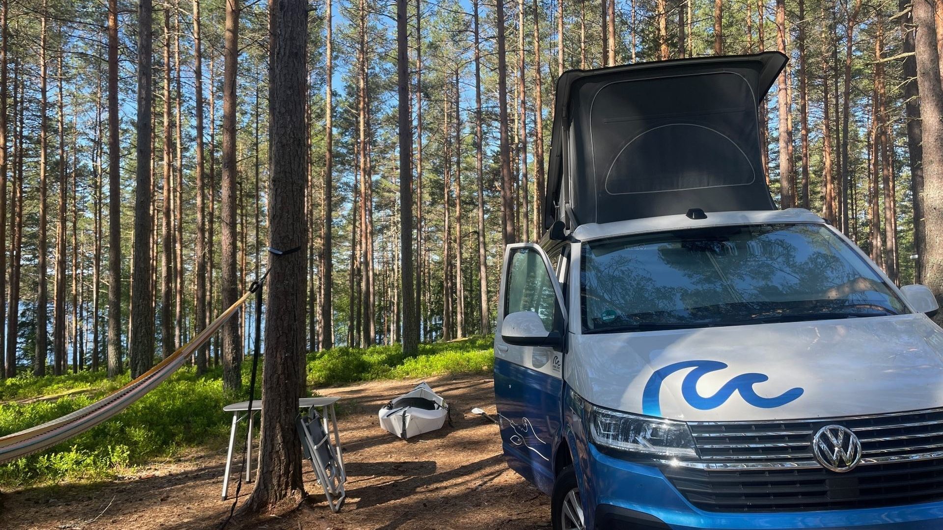 A blue and white campervan in a pine forest, with a kayak in the background.