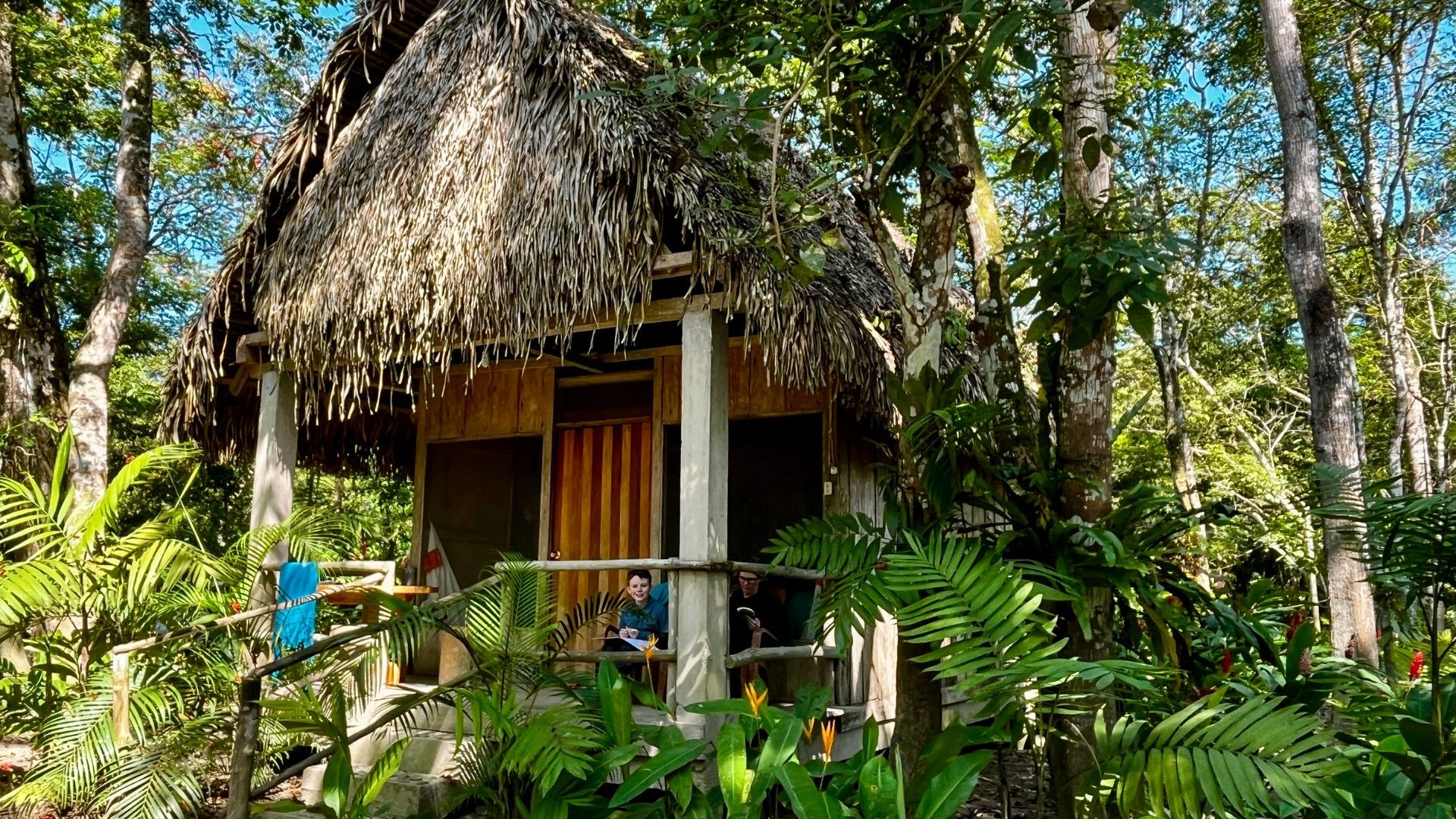 A thatched roof cabana hut surrounded by jungle greenery