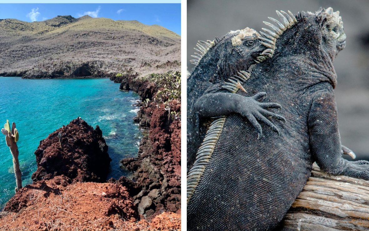 Left: A rocky bay with aquamarine water; Right: Two iguanas, one with its hand on the back of the other.