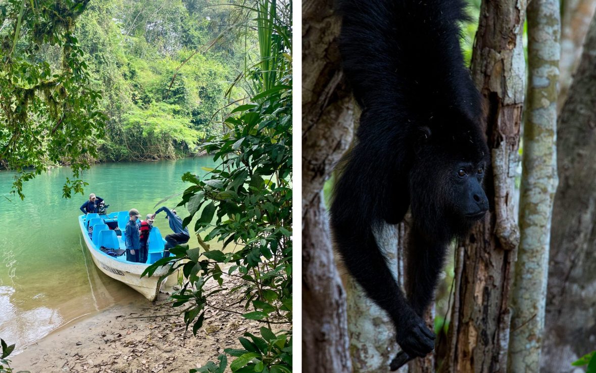 Left: A family of four climb out of a blue boat on a bright green river; Left: A black monkey hangs from a tree