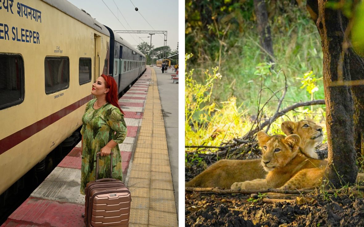 Left: Woman with red hair holds luggage and stands outside an Indian sleeper train; Right: Two Two young lion cubs sit in the shade of a tree