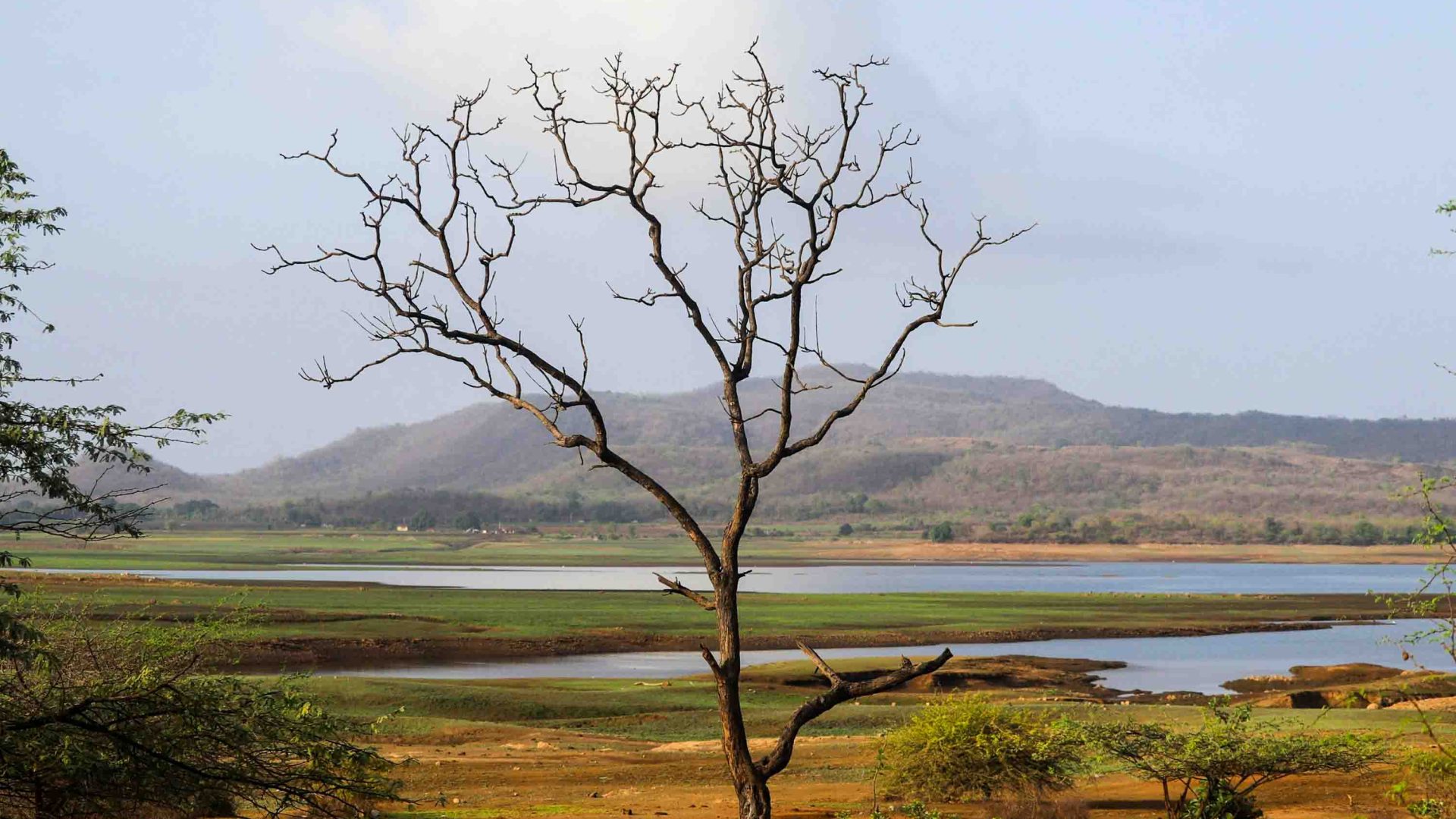 A landscape of plains, lake, and a mountain.