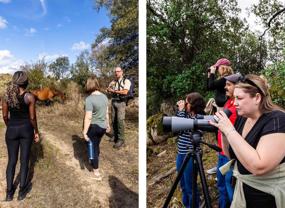 Left: People look at wild horses. Right: People use binoculars.