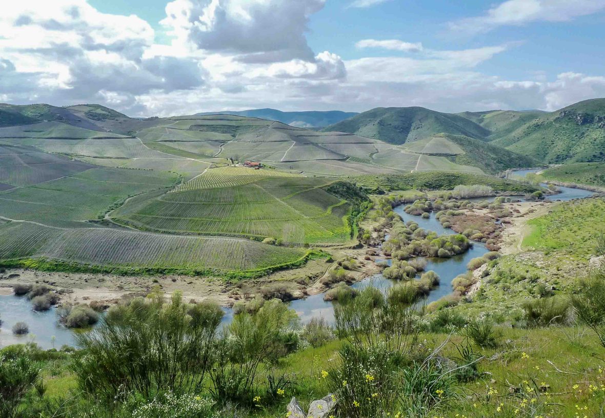 A river surrounded by green hills.