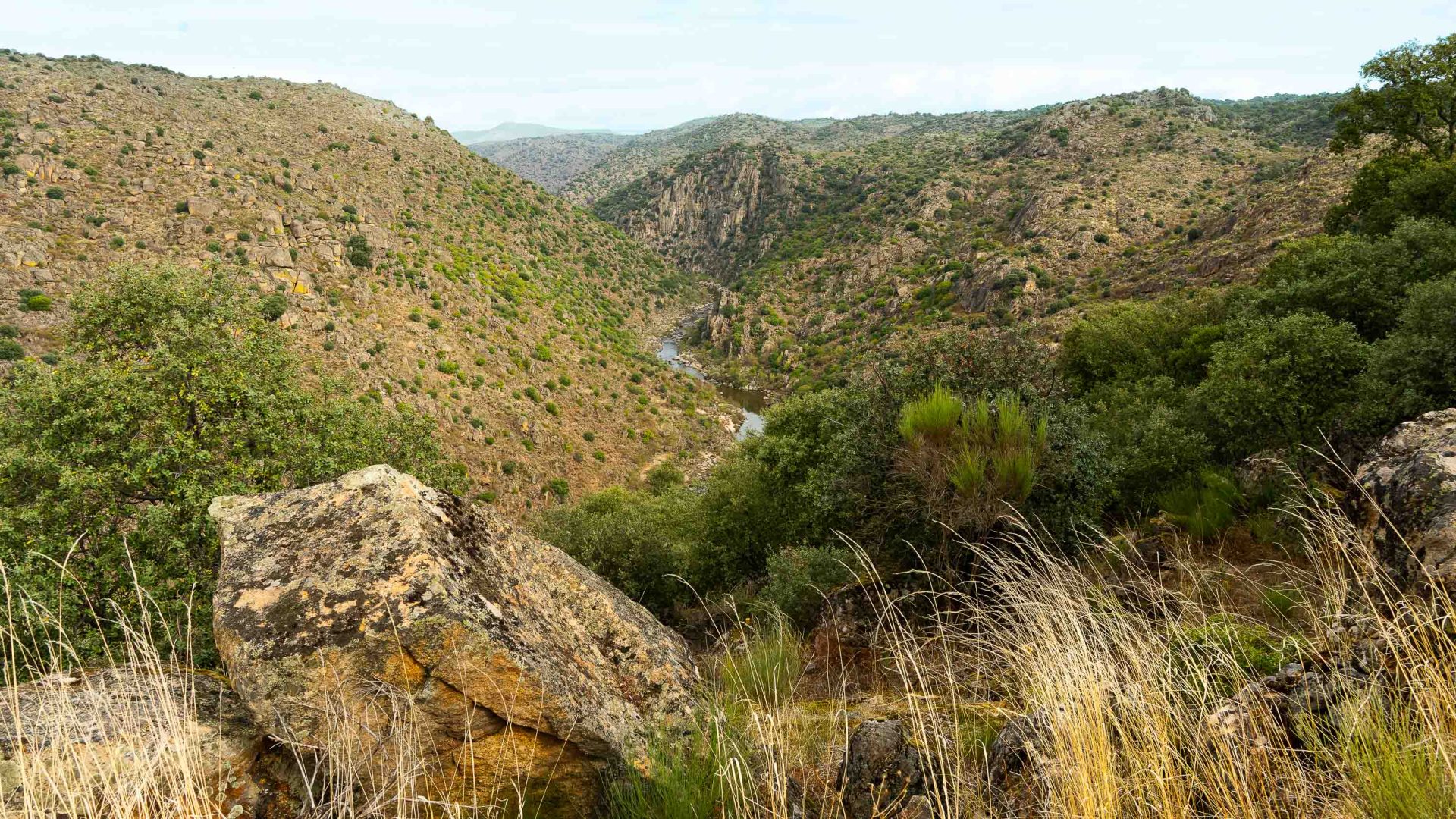 A river surrounded by mountains and valleys.