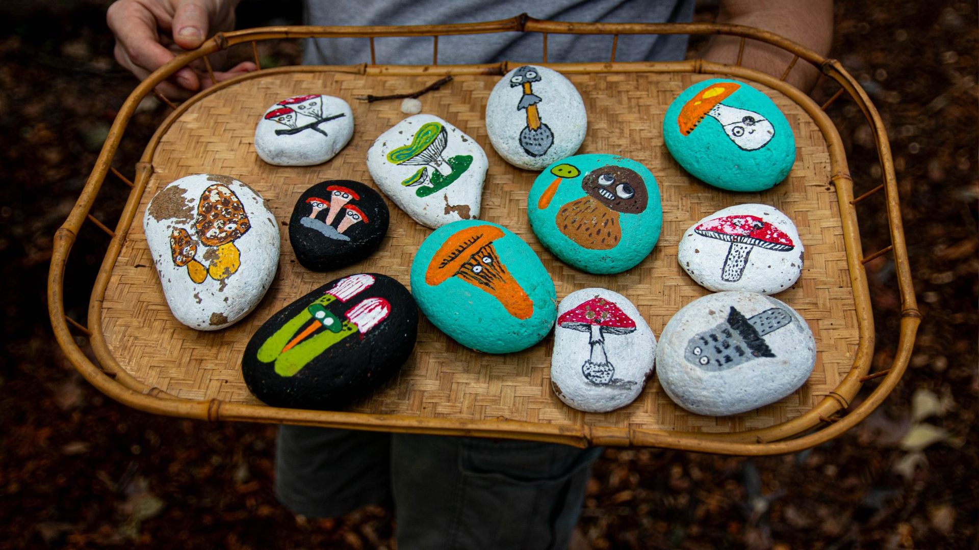 12 stones painted with cartooon mushrooms