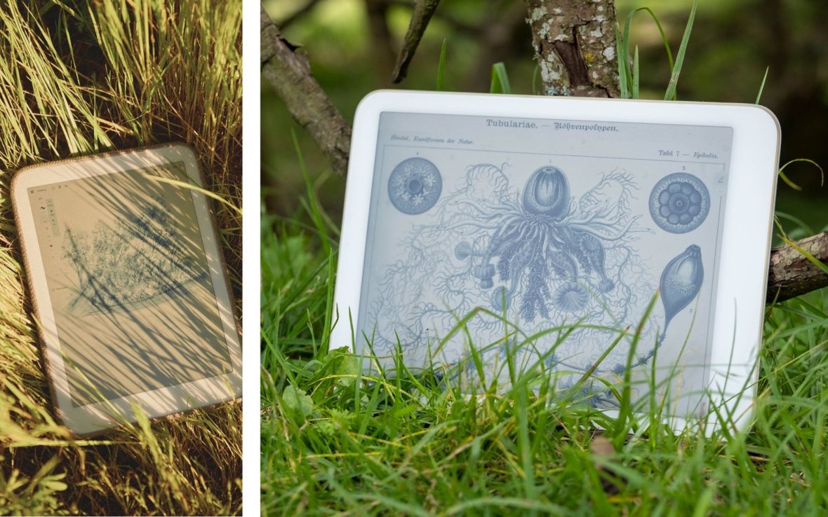 Two photos of the black-and-white Daylight Computer tablet propped up in the grass. The tablet has a white edge and looks like an e-reader.