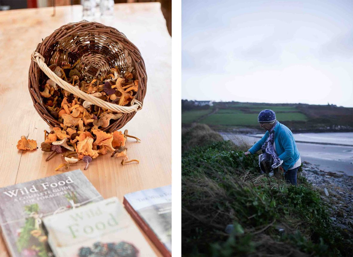 Left: A basket of mushrooms. Right: A woman picks small plants by a body of water.