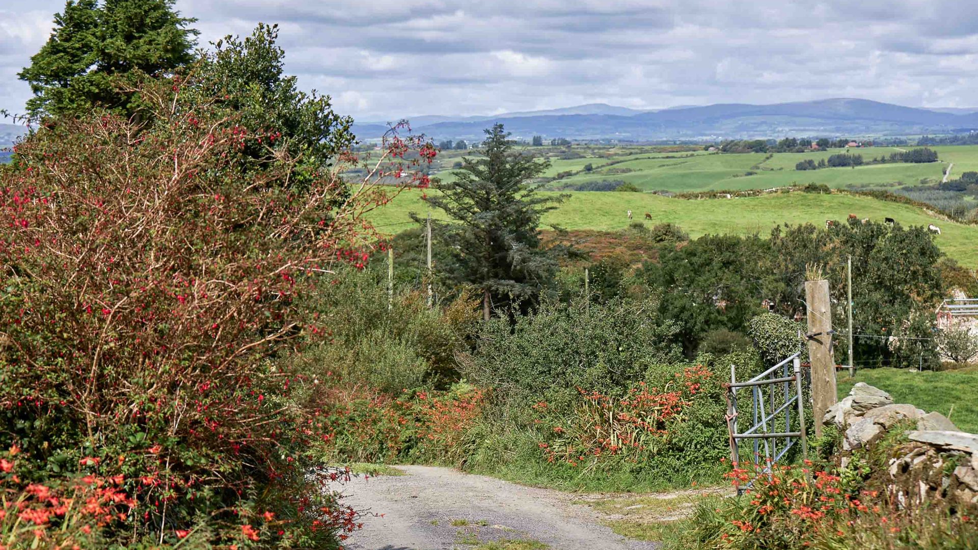A path leads down to grassy pastures.