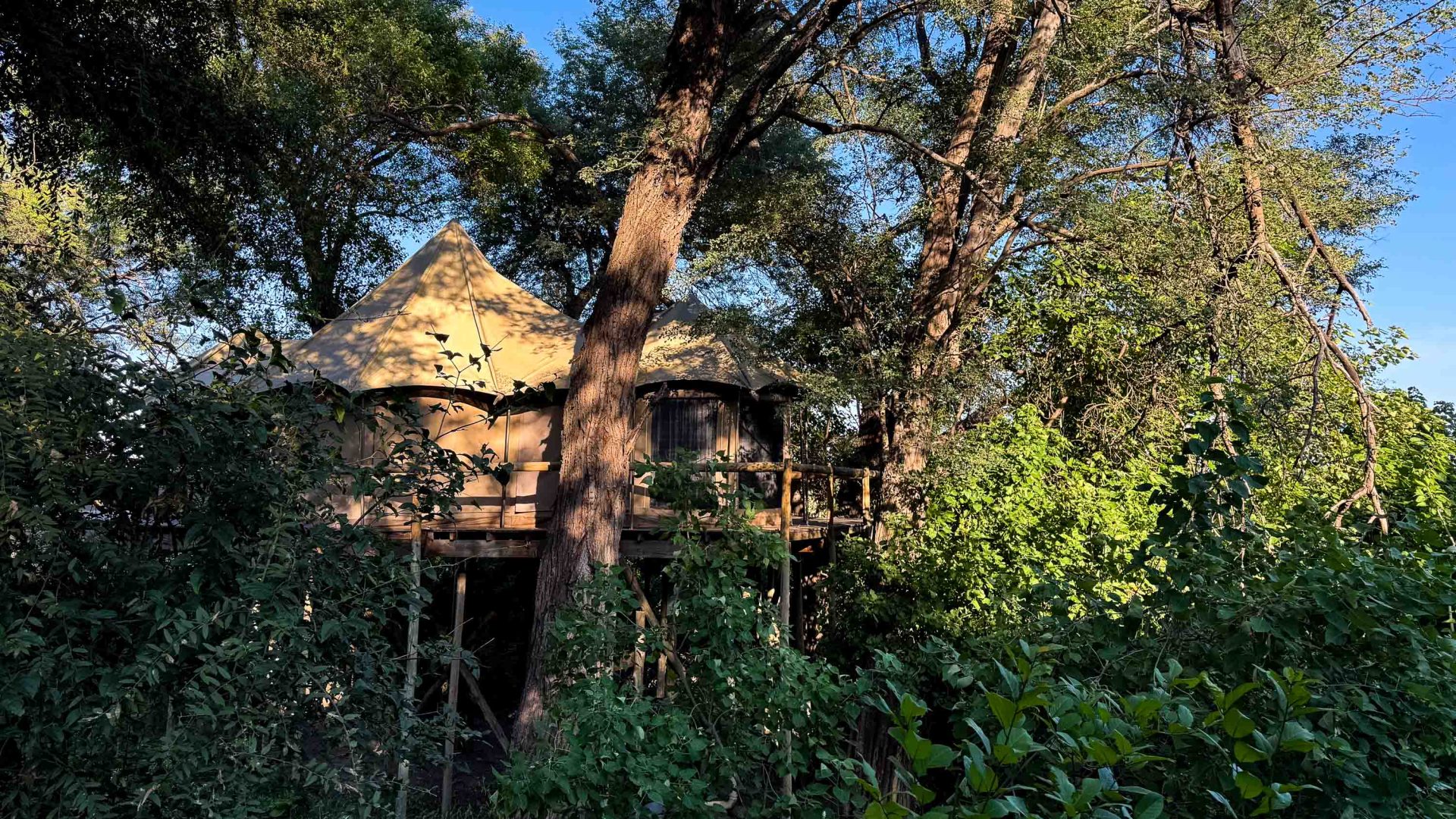 A lodge perched in the trees.
