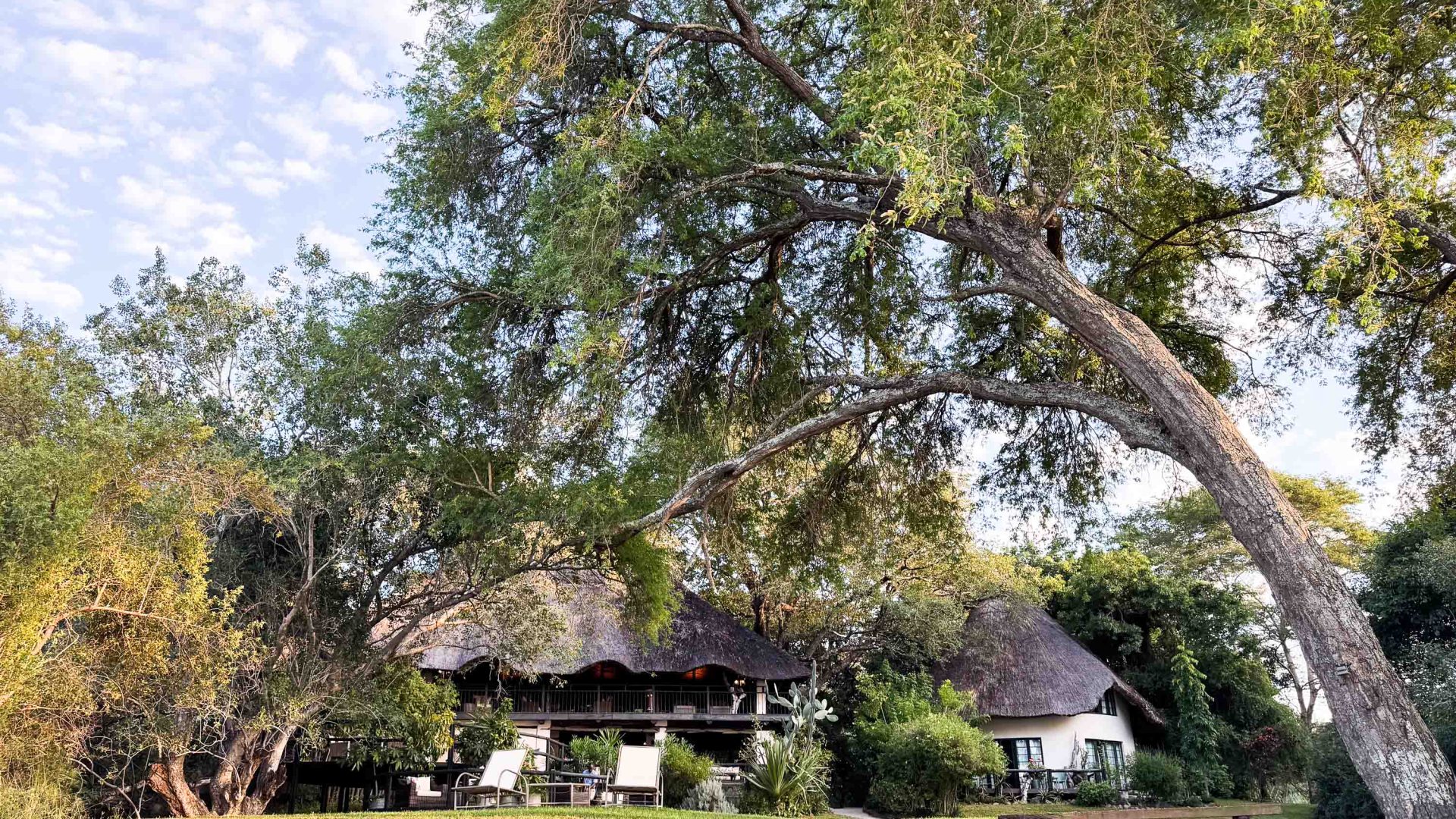 A lodge underneath trees.