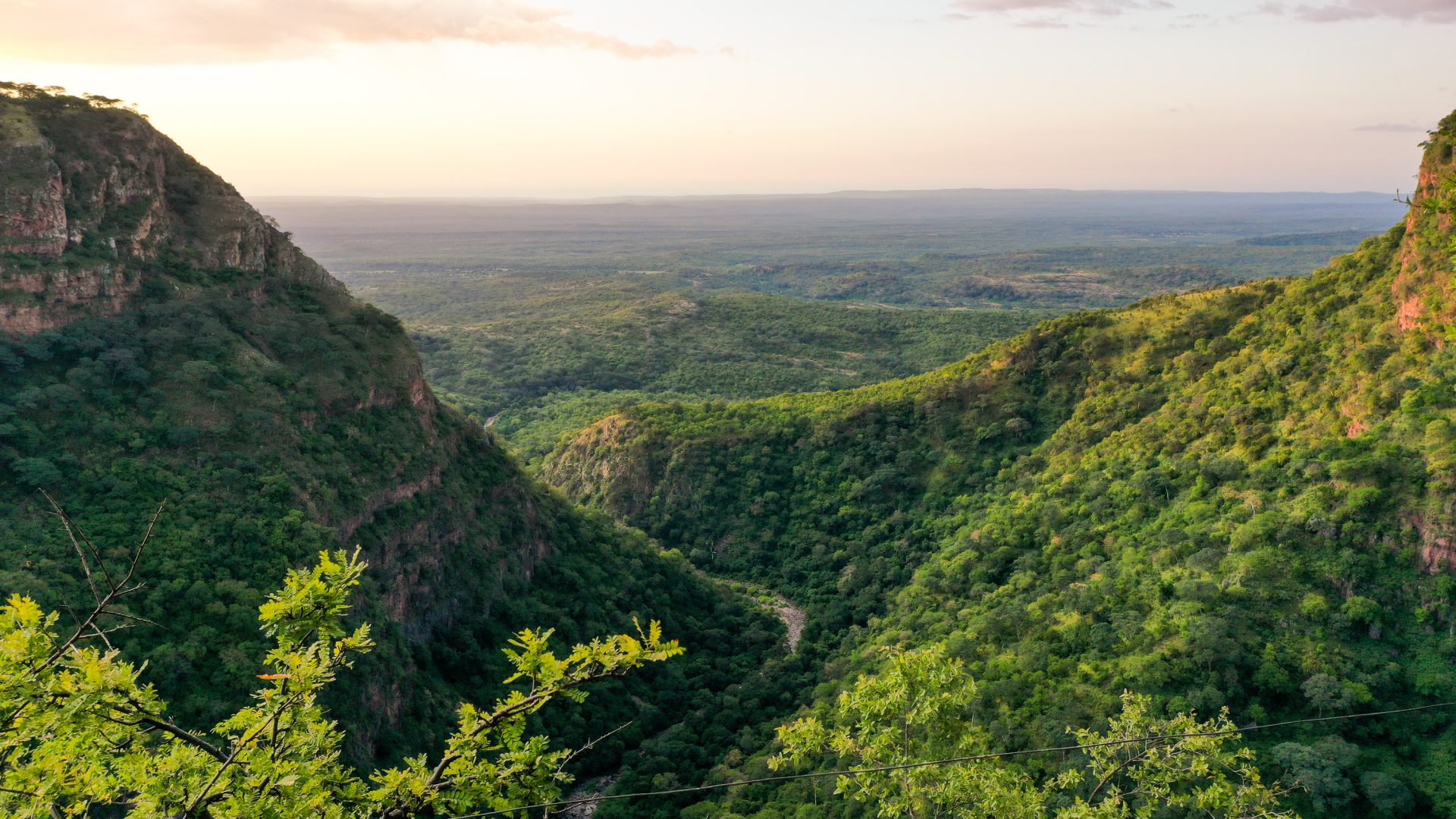 A lush green valley landscape