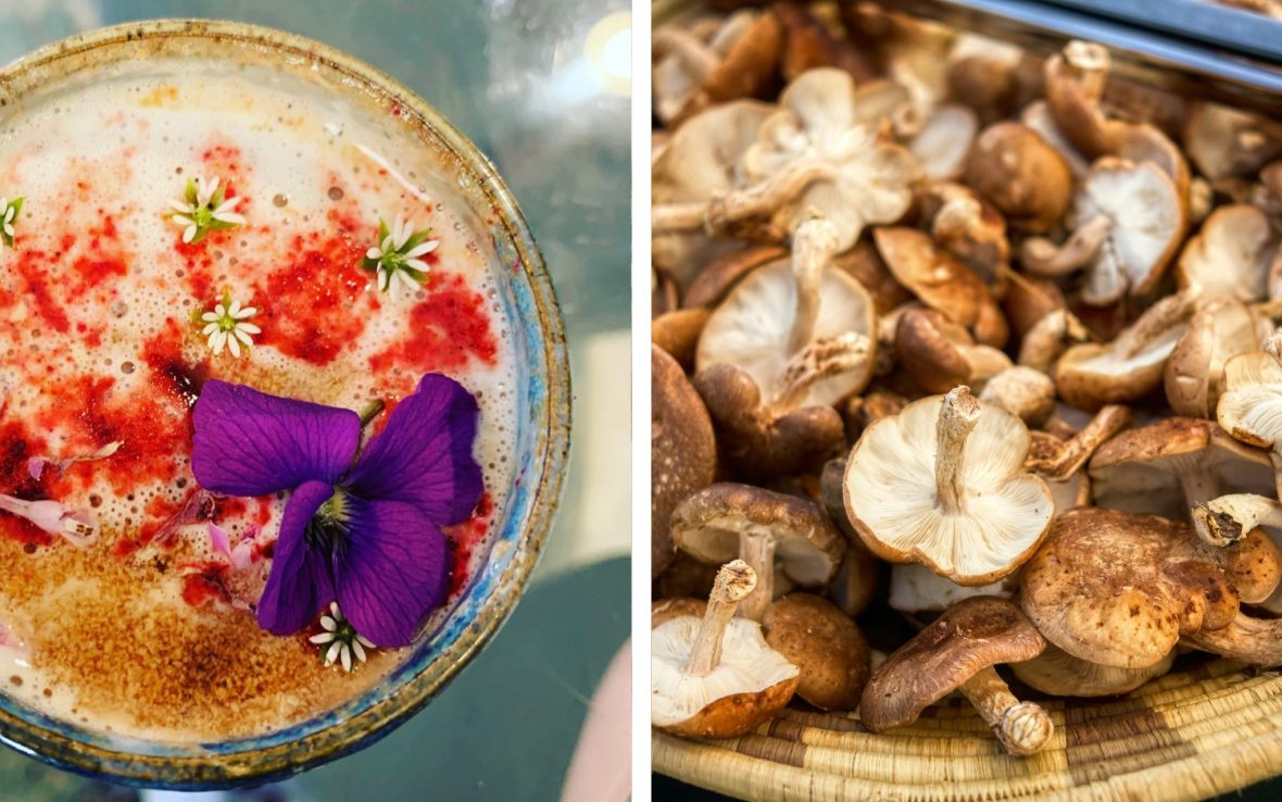 Left: Top-down view of mug of coffee dusted with red and brown powdered mushrooms; Right: close-up of brown shiitake mushrooms.