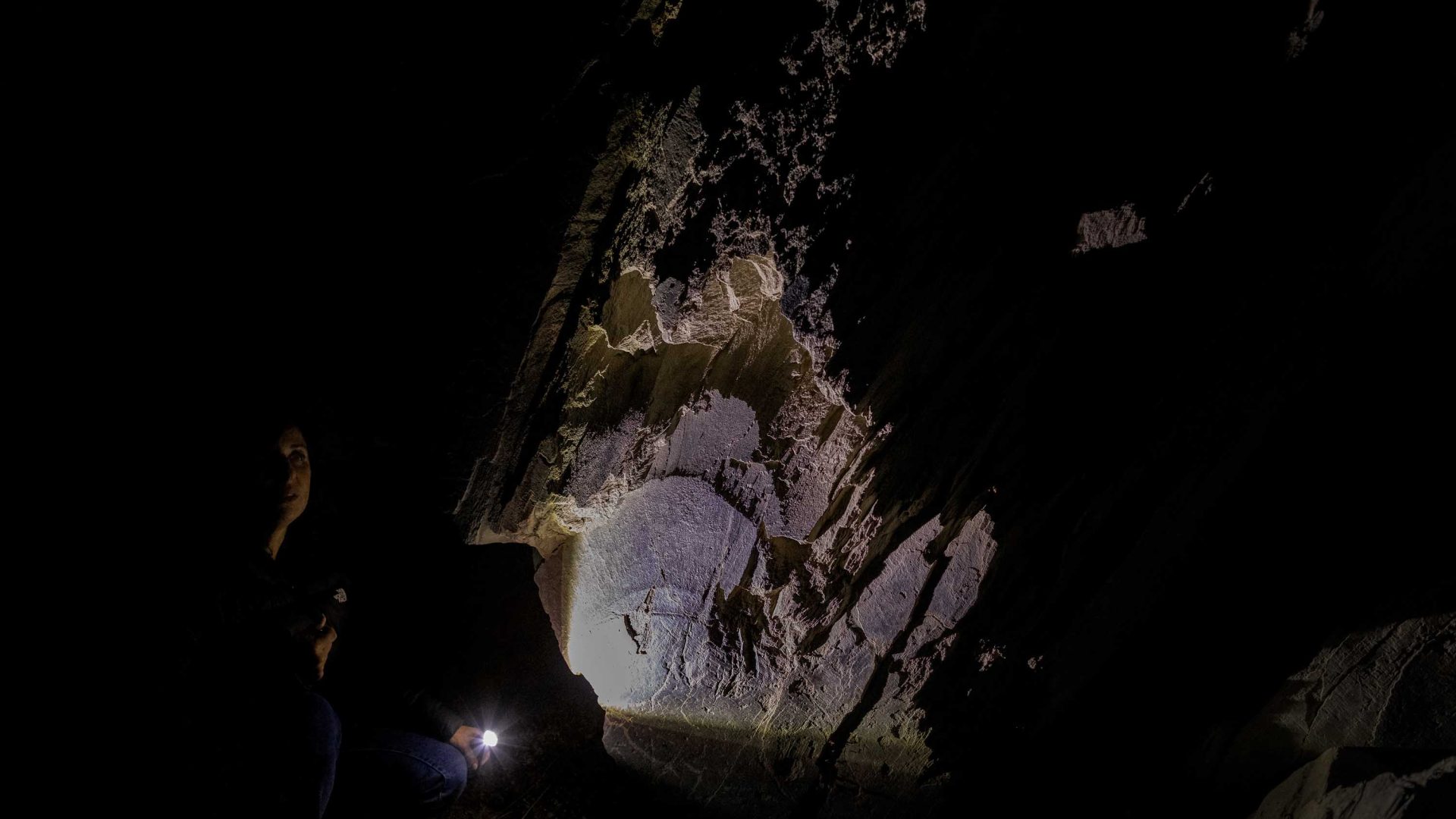 A torch lights up some rock art at night.