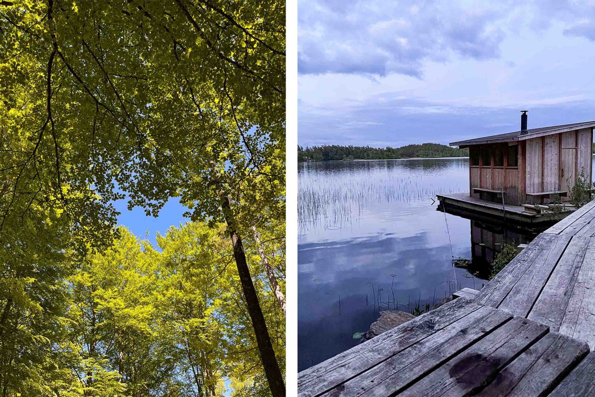 Left: Looking up at blue sky through tree branches. Right: A wooden sauna on the edge of a lake.