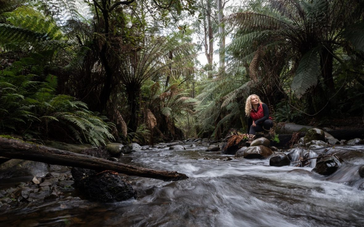 A blonde woman sits by a stream running through a forest lush with ferns.
