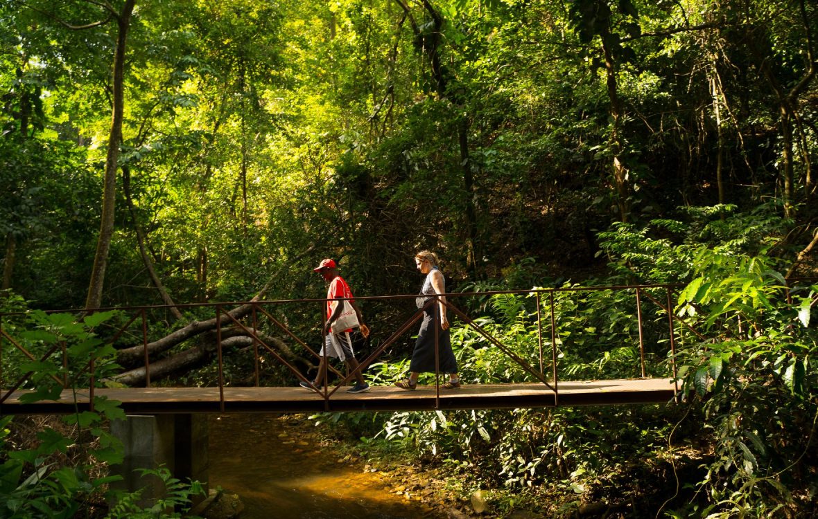 A tourist and her Intrepid guide walk across a bridge over a river in a lush forest