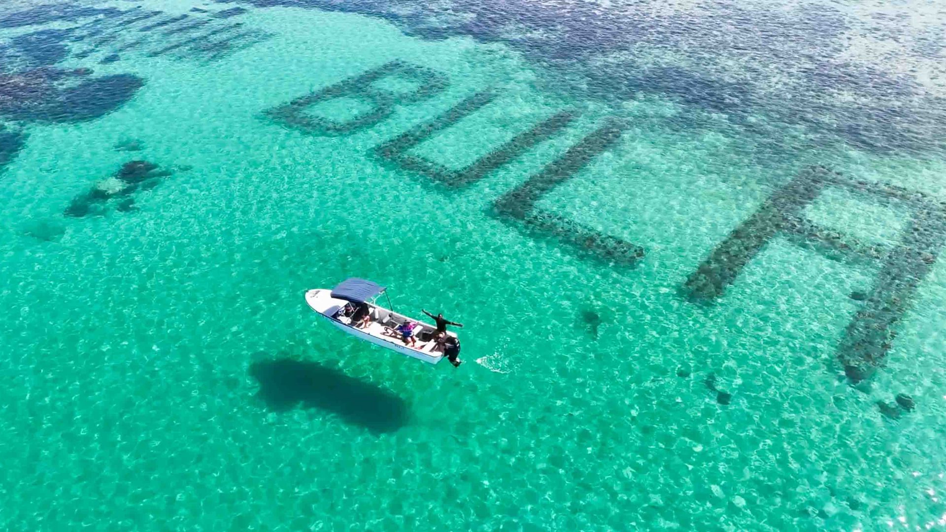 It’s the world’s largest underwater reef, designed to combat coral bleaching: A year on, how is Fiji’s BULA reef doing?