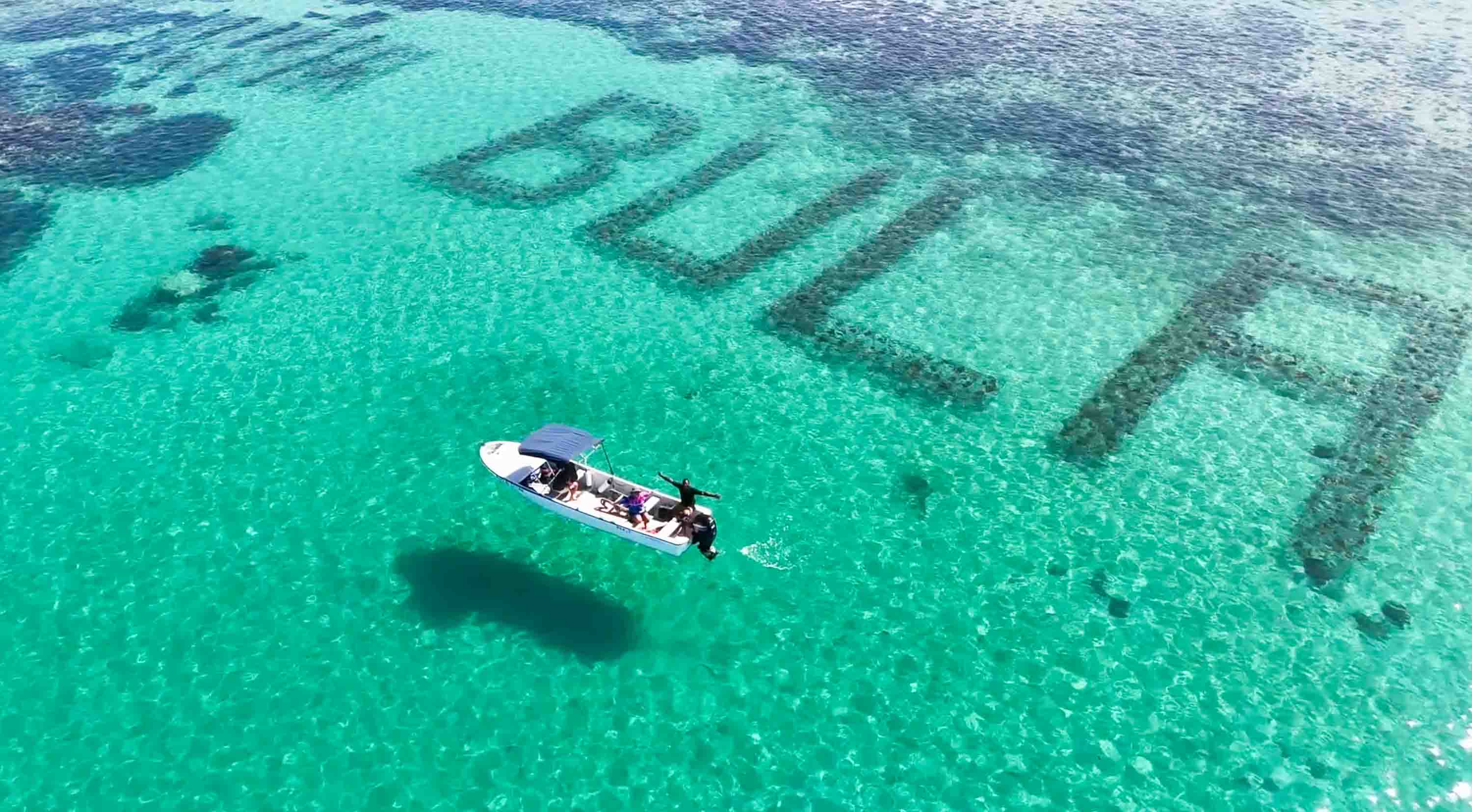 It’s the world’s largest underwater reef, designed to combat coral bleaching: A year on, how is Fiji’s BULA reef doing?