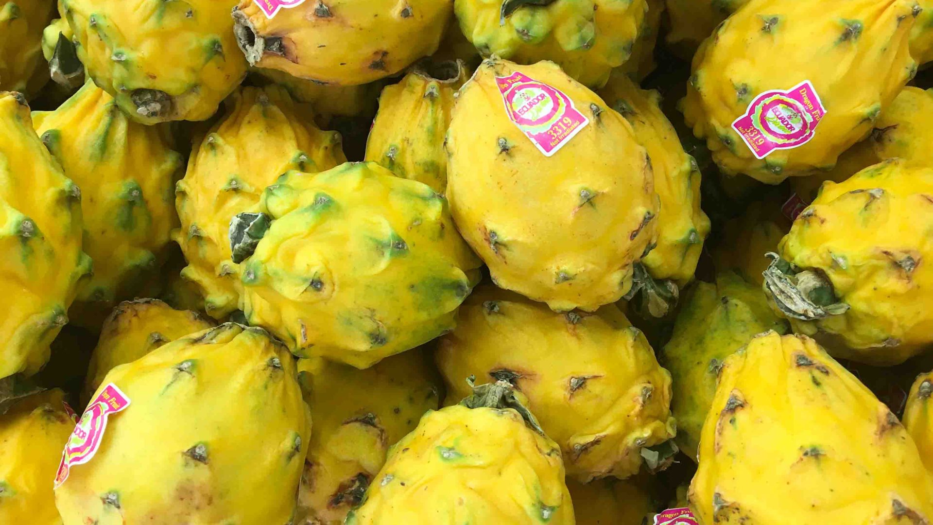 A tray of yellow dragon fruit.