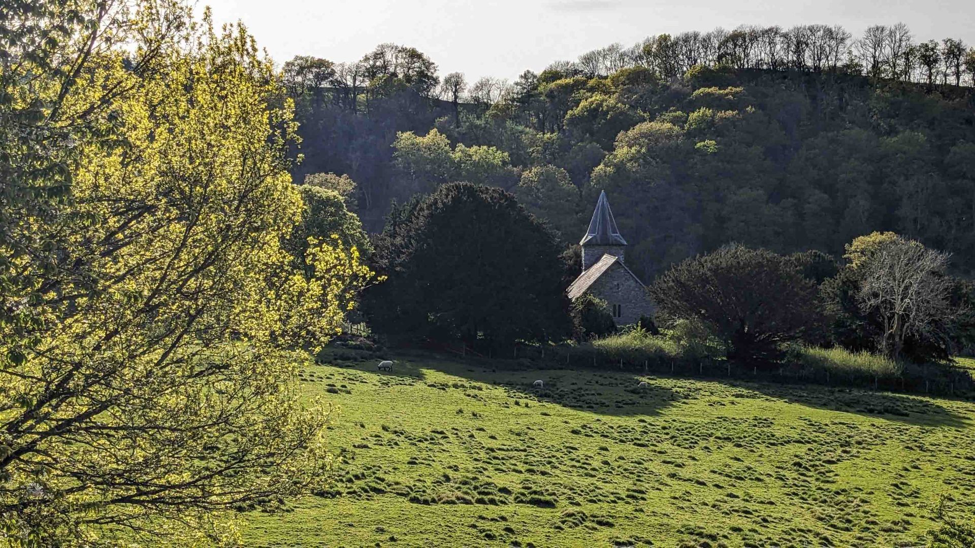 A church in a green field.