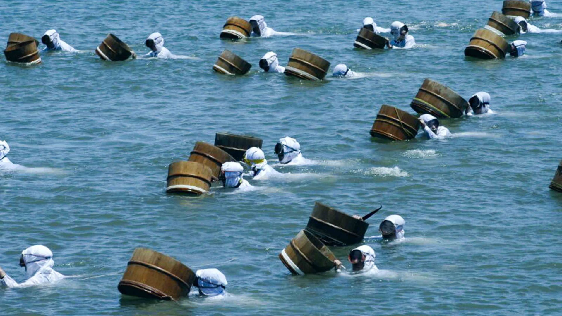 A number of divers bob on the seas surface with baskets.