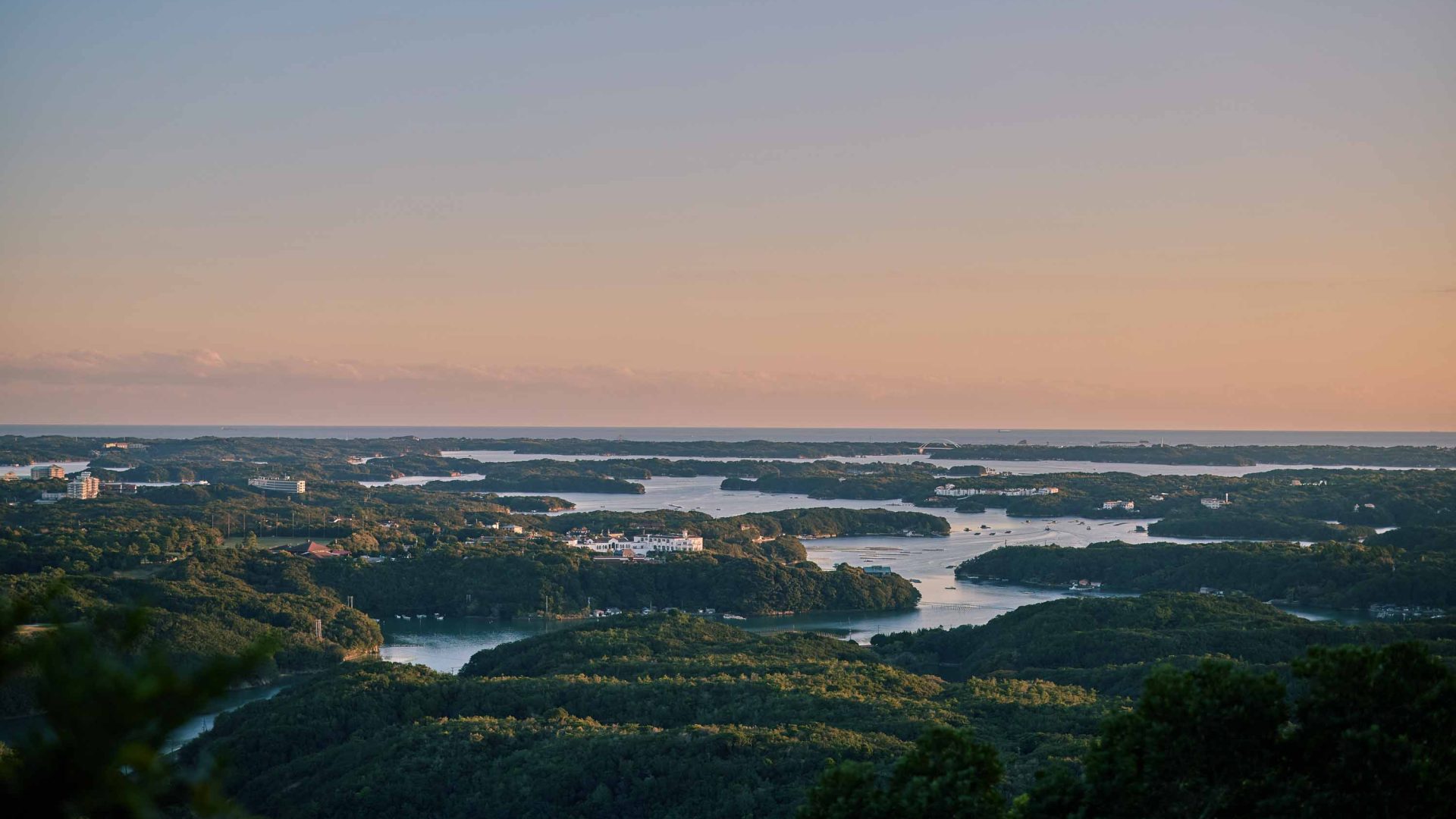 Looking out over a body of water surrounded by trees at dusk.