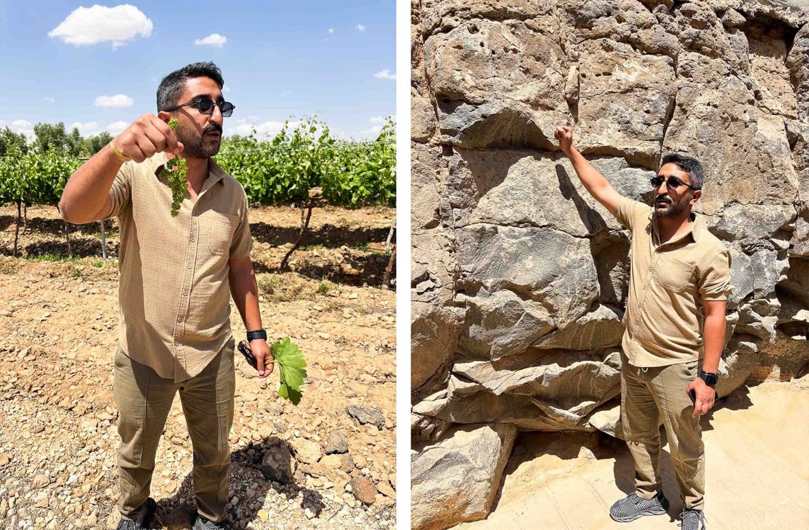 Left: A man holds up a bunch of young grapes. Right: A man points out features of rocky soil.