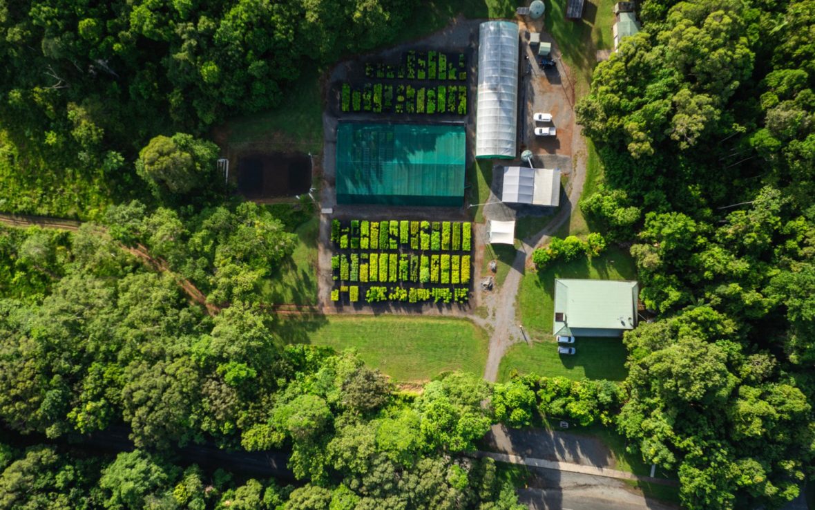 Aerial view of forest and nursery facility