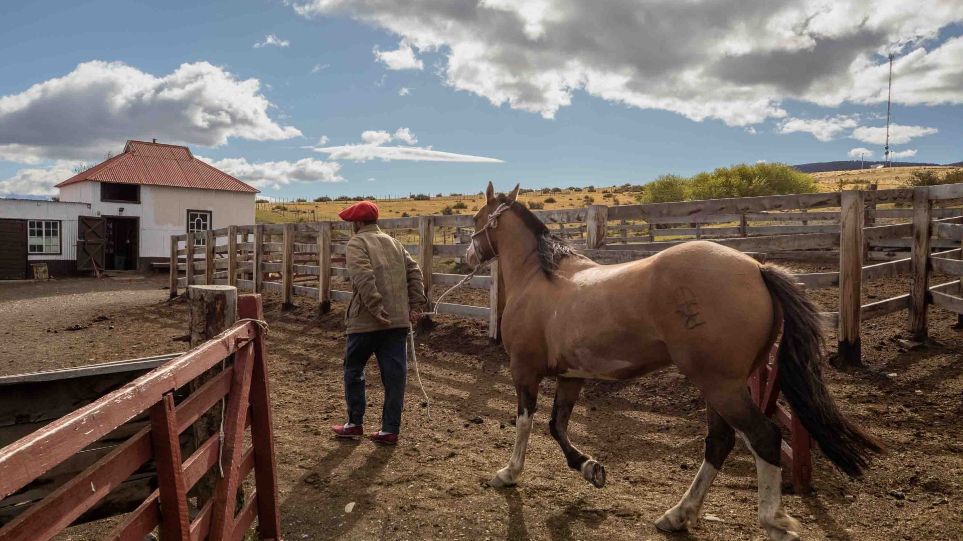 A man leads a horse through some gates.
