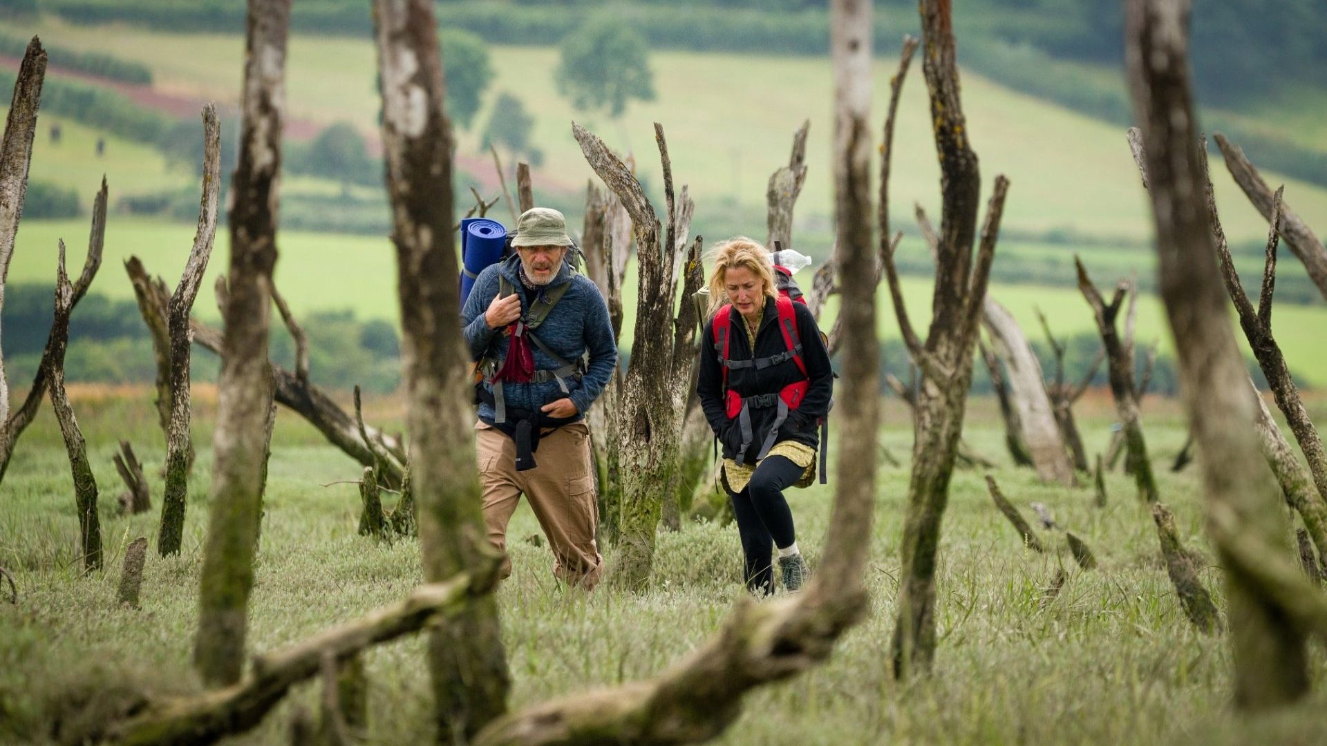 A man and woman in hiking gear walking through the woods.