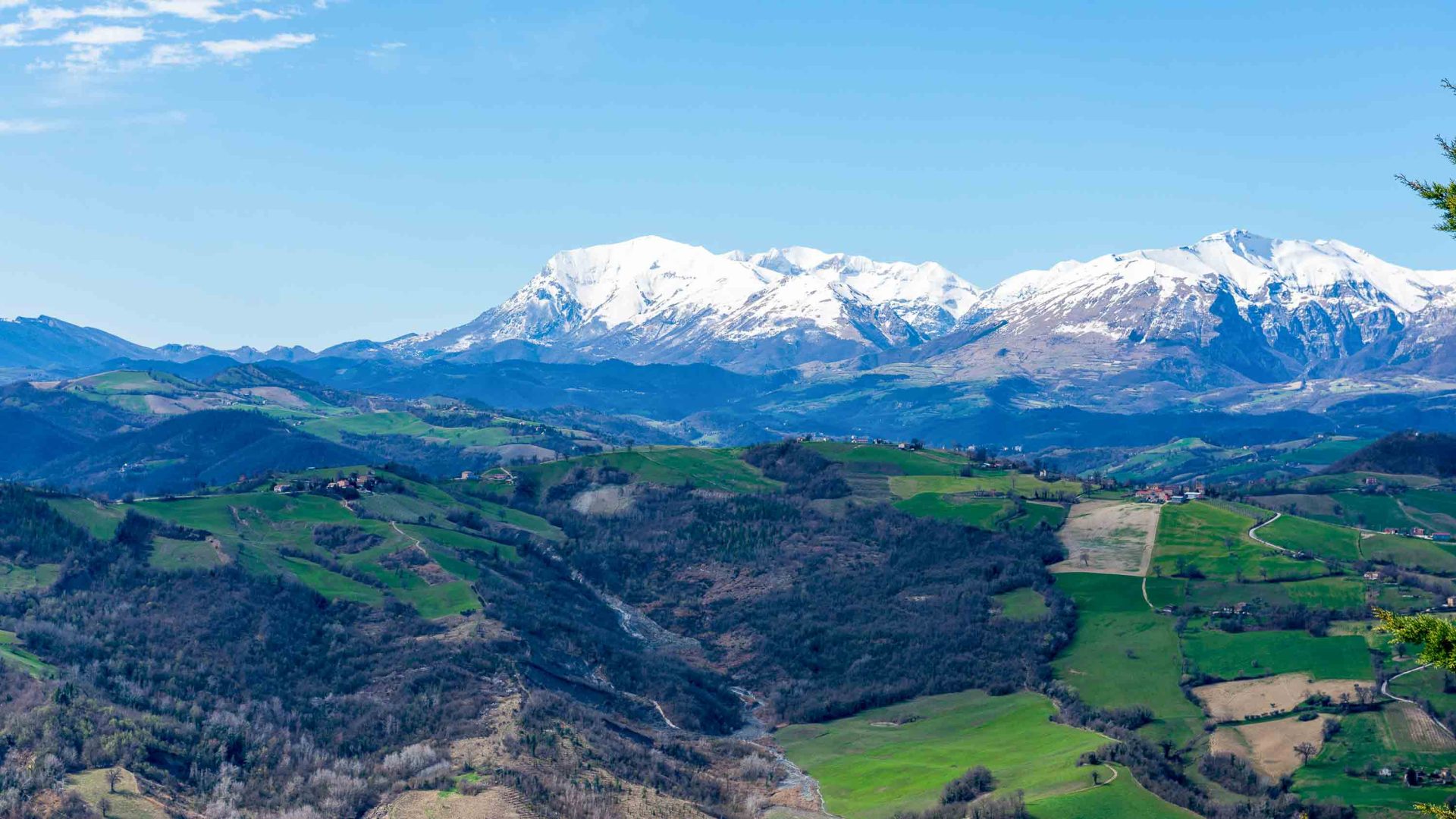 Green fields leads to snowy mountains.
