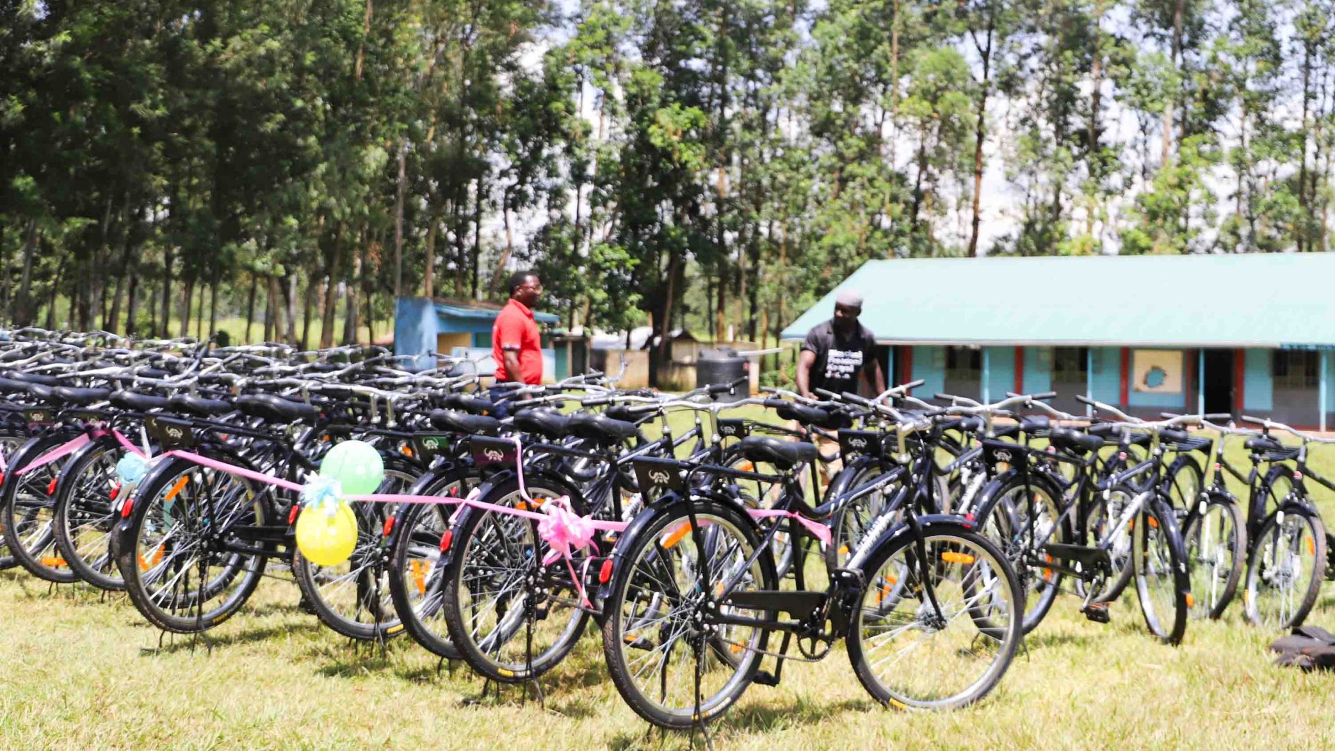 A row of bikes outside of a school.