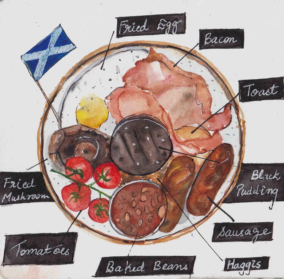 A plate of food including things like bacon, tomatoes, eggs and sausage. The items are labelled.