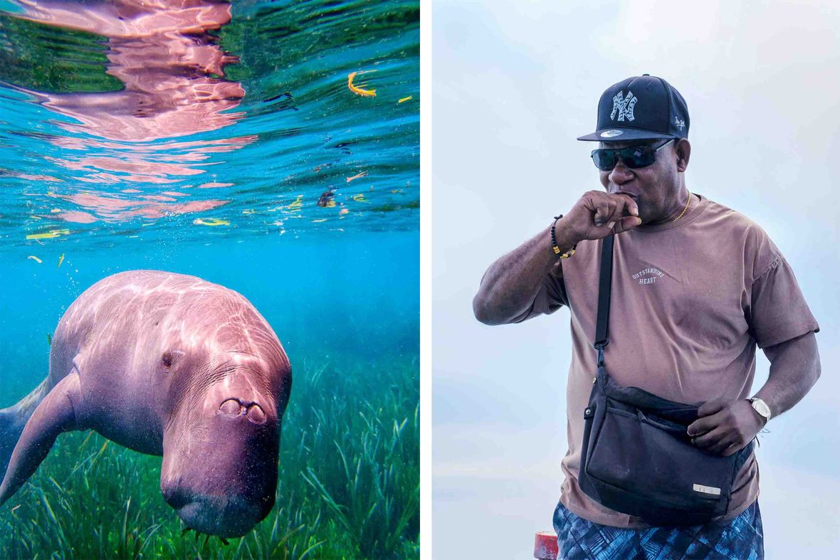 Left: A dugong feeds on sea grass. Right: A man puts his hands to his mouth to whistle.
